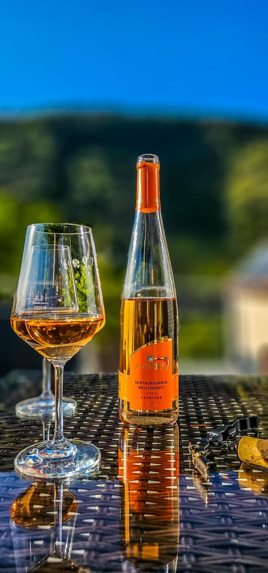 Apartment - Riesling Ambiente - Im Weingut Andries *